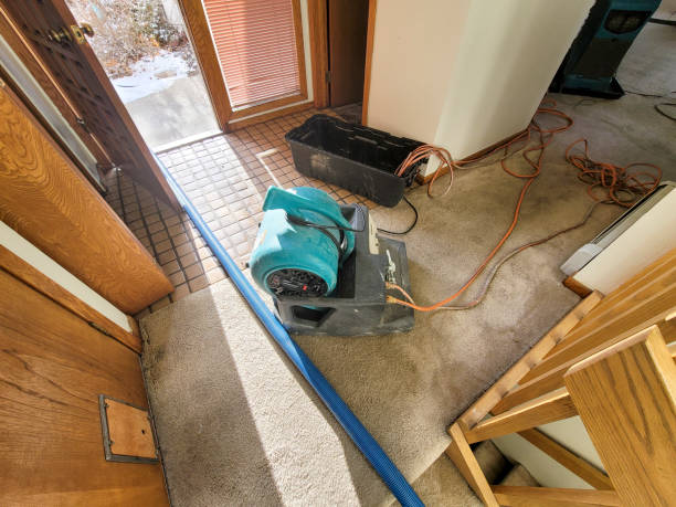 Professional Water damage restoration in Arden On The Severn, MD